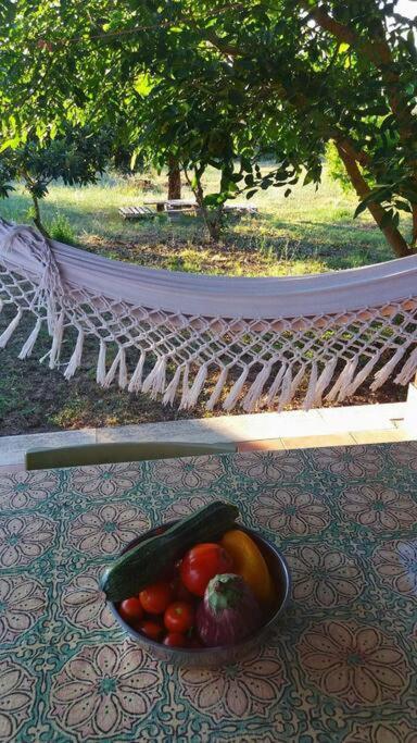 Country House Tra Lago E Mare A Sud Di Roma Villa Campoleone Exterior foto