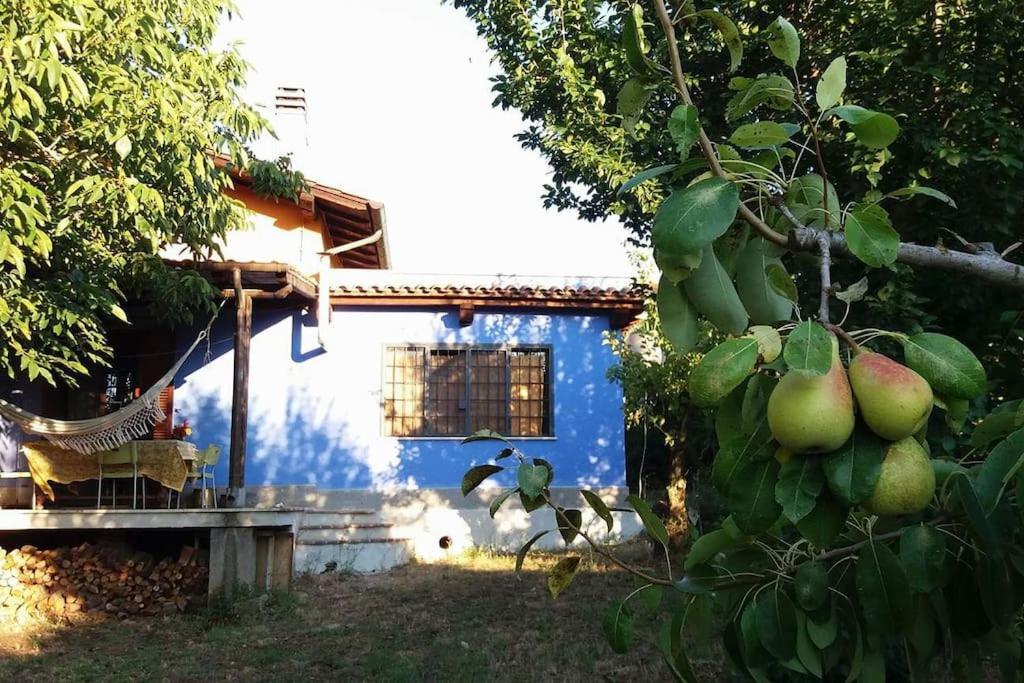 Country House Tra Lago E Mare A Sud Di Roma Villa Campoleone Exterior foto